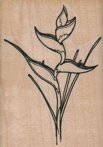 Bird of Paradise Flower 2 1/2 x 3 1/2-0