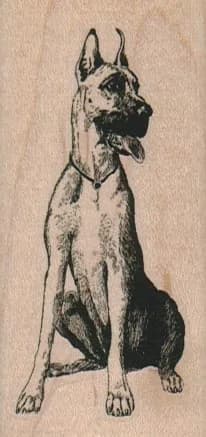 Great Dane Dog 1 1/2 x 3-0