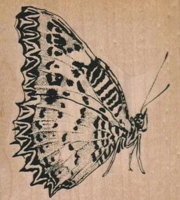 Butterfly Spot Side 3 x 3 1/4-0