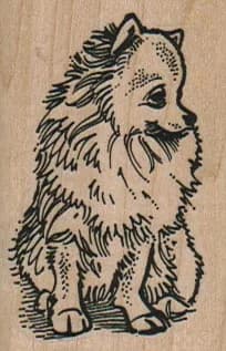 Pomeranian Looking To Side 1 1/2 X 2 1/4-0