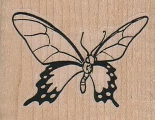 Butterfly Bottom 2 1/4 x 1 3/4-0