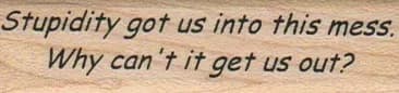Stupidity Got Us Into This Mess-0