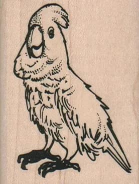 Talking Bird 2 x 2 1/2-0