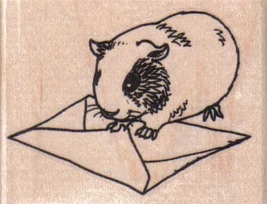 Guinea Pig Sealing Envelope 2 3/4 x 2-0