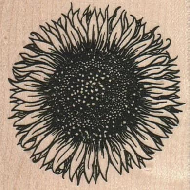 Sunflower 2 3/4 x 2 3/4-0