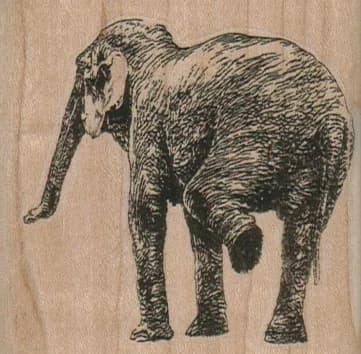 Elephant Lifting Leg 2 1/2 x 2 1/2-0