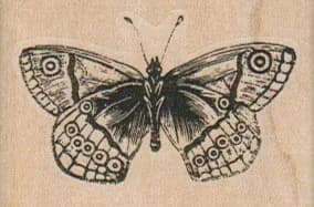 Butterfly 2 x 1 1/4-0
