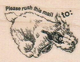 Please Rush This Mail 1 3/4 x 2-0