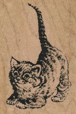 Cat Looking Up 2 x 2 3/4-0