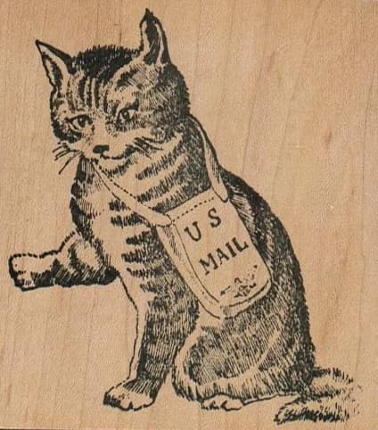 Kitty Mail/Large 3 x 3 1/4-0