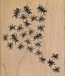 Ant Colony 2 3/4 X 3 1/4-0
