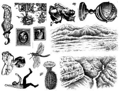 Plate 1197-0