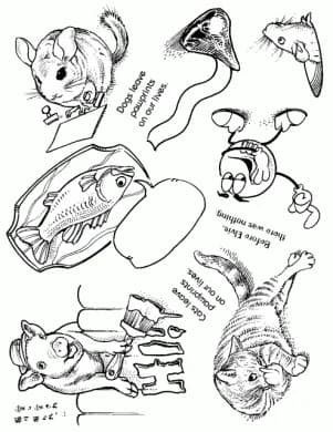 Plate 445-0