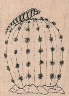 Lizard On Barrel Cactus 1 3/4 x 2 1/4-0