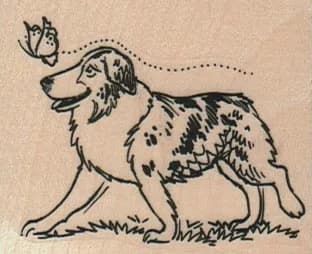 Australian Shepherd & Butterfly 2 1/4 x 1 3/4-0