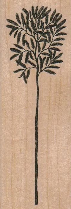Tall Tree Leaves 1 3/4 x 4 3/4-0