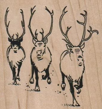 Caribou Trio 2 1/2 x 2 1/2-0