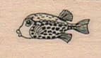 Spotted Fish 3/4 x 1-0
