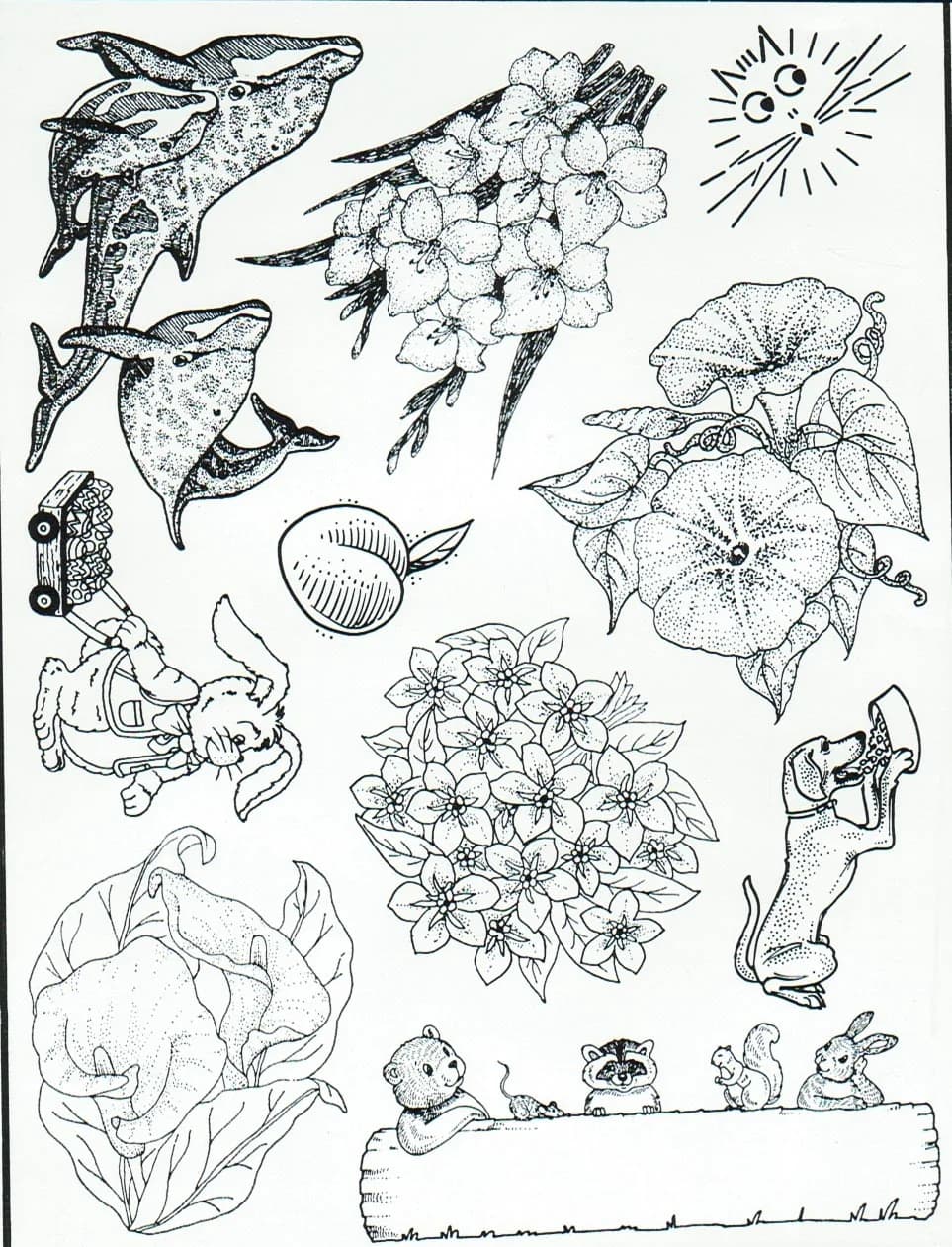 Plate 899-0