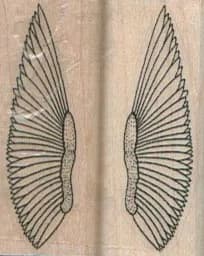 Pair O Wings 3/4 x 1 3/4 (2)-0