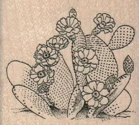 Blooming Cactus 2 x 1 3/4-0