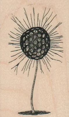 Wild Flower 1 3/4 x 2 3/4-0