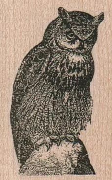 Horned Owl 1 3/4 x 2 1/2-0