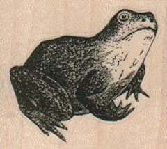 Frog/Toad 1 3/4 x 1 1/2-0