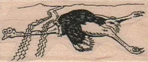 Roadkill Ostrich 1 x 2-0