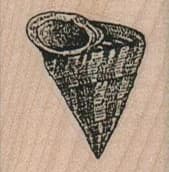 Pointy Snail Shell 1 1/4 x 1 1/4-0
