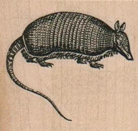 Armadillo (Nine-Banded) 2 x 1 3/4-0