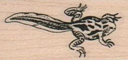 Frog With Tail 1 x 1 3/4-0