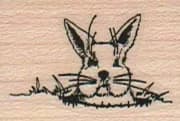 Rabbit In A Hole (Small) 1 x 1 1/4-0