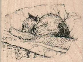 Dog And Cat In Bed 3 x 2 1/4-0