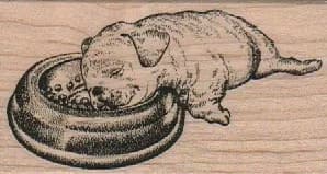 Dog Sleeping In Dish 1 3/4 x 3-0