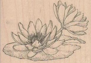 Flowering LilyPad 3 1/4 x 2 1/4-0