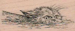 Cat Swimming 1 1/2 x 3-0
