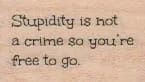 Stupidity Is Not A Crime 1 x 1 1/2-0
