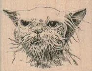Wet Cat 2 x 1 1/2-0