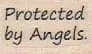 Protected By Angels 3/4 x 1-0