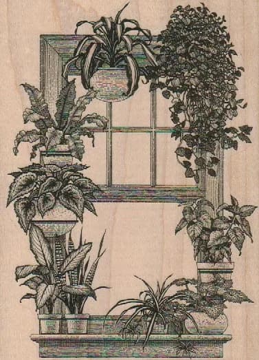Window With Plants 4 x 5 1/4-0