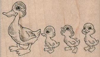 Duck Quartet 3 1/2 x 2-0