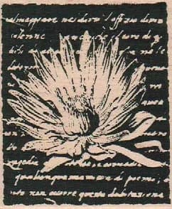 Stampers Anonymous K1-886 Flower Word Background 3 x 2 1/2-0