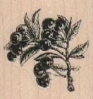 Cherries On Branch 1 1/2 x 1 1/2-0
