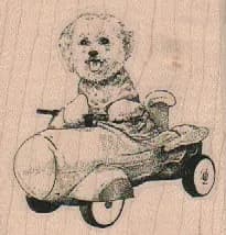 Bichon In Car 2 1/4 x 2 1/4-0