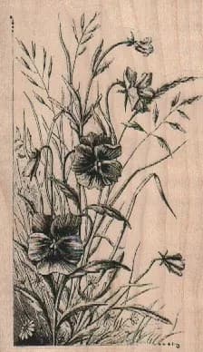 Wild Flowers 2 1/2 x 4-0