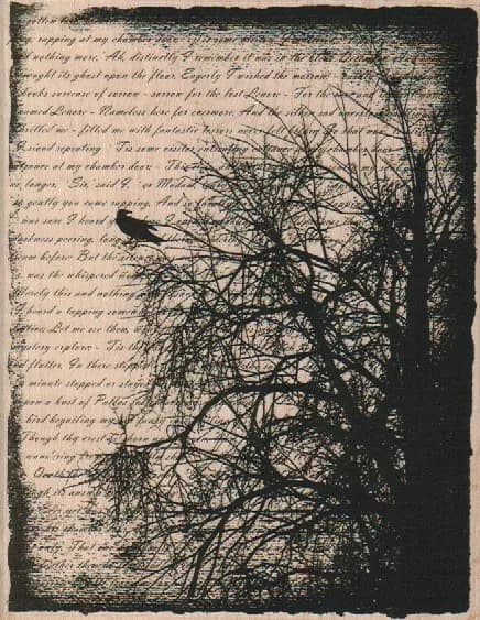 Tree Writing Collage 4 1/2 x 5 3/4-0