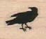 Small Crow Right 3/4 x 3/4-0