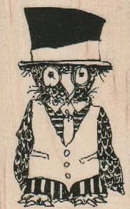 Owl In Vest 2 x 3-0