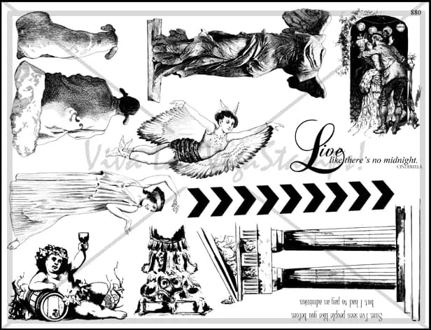 Plate 880-0